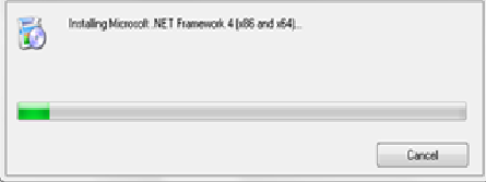 Installing Microsoft .NET Framework